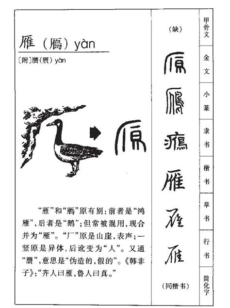 雁 名字